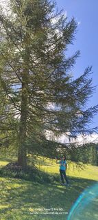 Fotografia z Sherpa 960 na trase