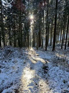 Photo de Fabian Mayr 3 le long du parcours