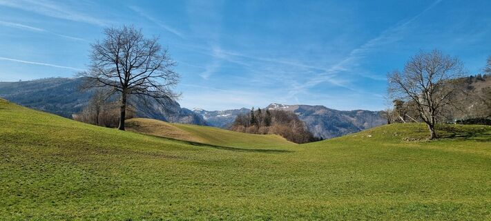 Photo de stmike le long du parcours