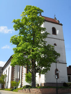 Katholische Kirche St .Michael Aichhalden