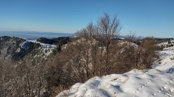Foto från oscarpette82 under resans gång
