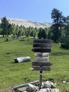 Photo de Berry de haas le long du parcours