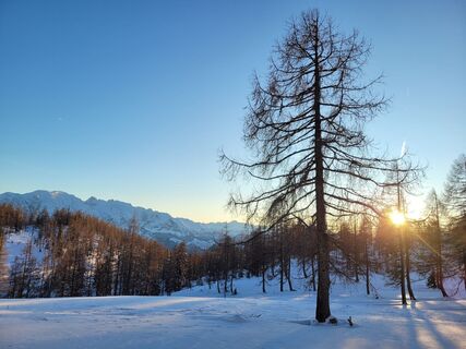 Fotografija s spletne strani Juliane Jarke na poti