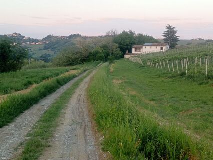 Photo de simone ravasi le long du parcours