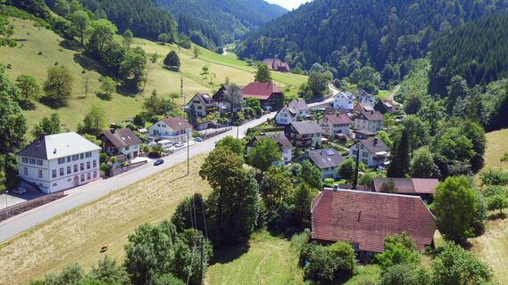 Blick auf Reichenbach