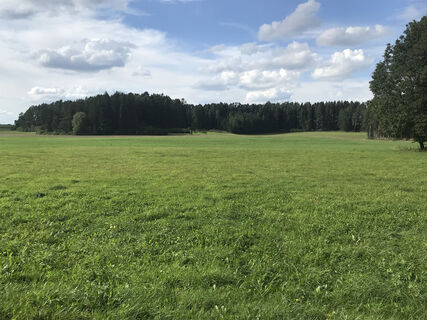 Zemljevid