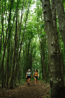 Nationalpark Thayatal