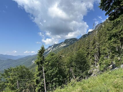 Foto von Fuchsi entlang der Tour
