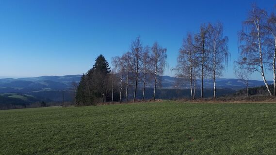 Fotografia z pichii na trase