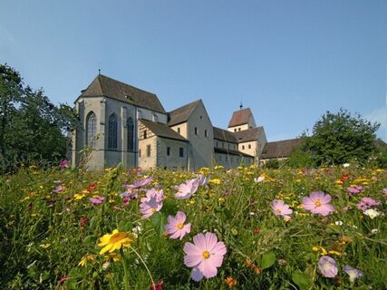 Münster St. Maria und Markus mit Blumenwiese