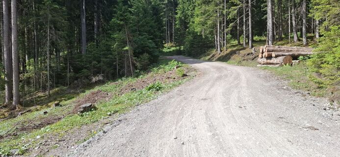 Foto de Christian Freythaler a lo largo del recorrido