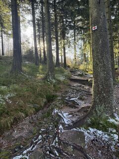 Fotografija s spletne strani Nico Eisner na poti