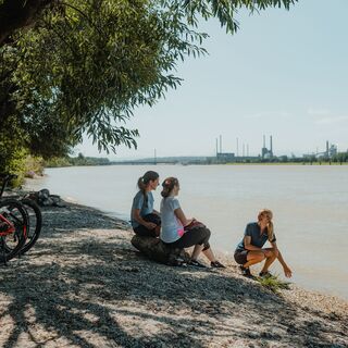 Radeln an der Donau Linzer Riviera