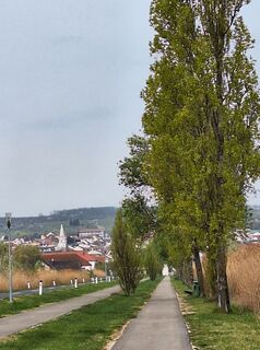 Fotografija s spletne strani Mimi na poti