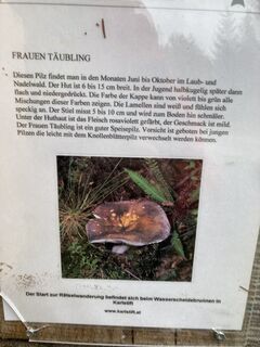 Zdjęcie z Anna Herzog wzdłuż trasy