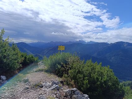 Foto de Meli a lo largo del recorrido