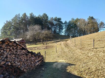 Fotografija s spletne strani Poschacher na poti
