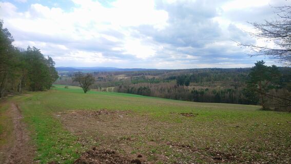 Foto von Betzenbergfex entlang der Tour
