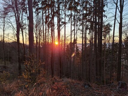 Foto von Gerald Wang entlang der Tour