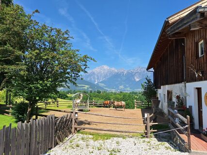 Fotografia z Hermann E. na trase