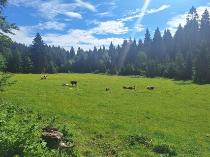Foto von Katharina entlang der Tour