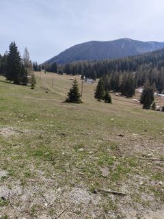 Fotografija s spletne strani Wolfgang Bloder na poti