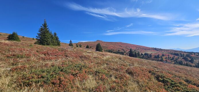 Fotografia z Lpetra na trase