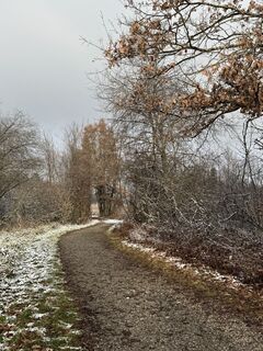 Foto från Denise Miller under resans gång
