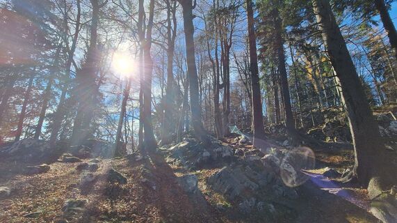 Fotografija s spletne strani Regina Fleischmann na poti