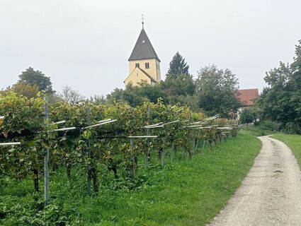 Foto fra simone ravasi underveis på turen