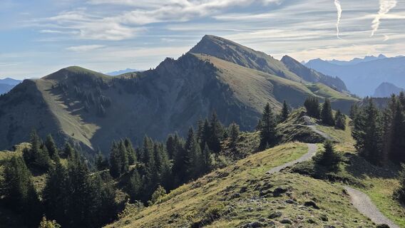 Fotografia z V Feurstein na trase