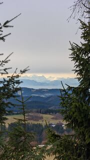 Fotografia z Klaus Lehner na trase