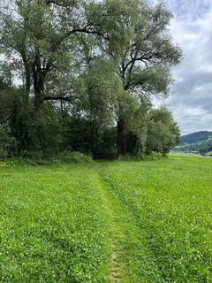 Ennswiesen am Ennsweg