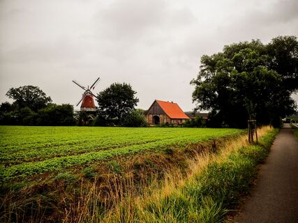 Ölmühle in Bippen