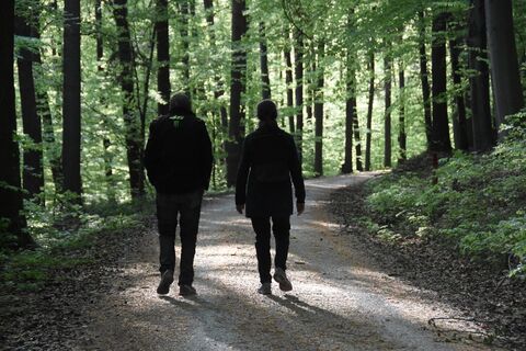 Waldweg zwischen Ostlandkreuz und Rohrbronn