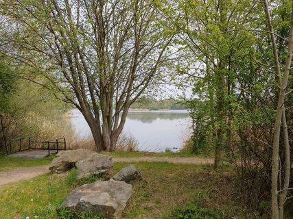 alter Kiesbaggersee Ditfurt