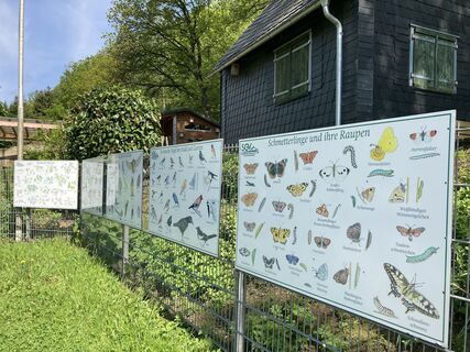 Heimische Natur Infotafeln an der SGV-Hütte