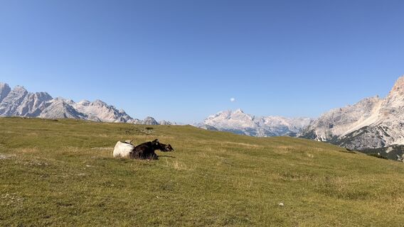 Foto von DANIEL SISKA entlang der Tour