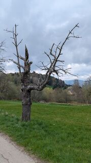 Photo de Richard Schwald le long du parcours