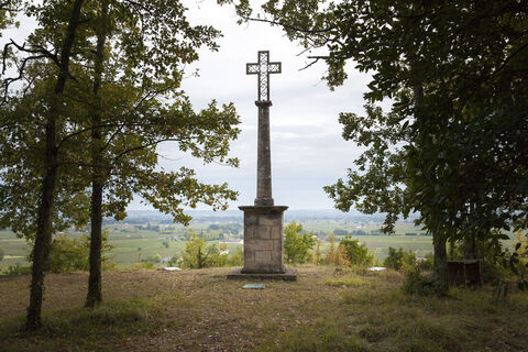 Zemljevid