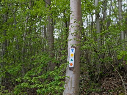 Wanderungen Greene, Markierung, Wege