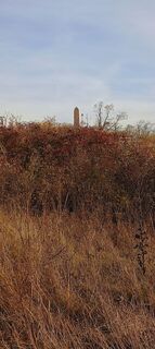 Fotografia z Nellabi na trase