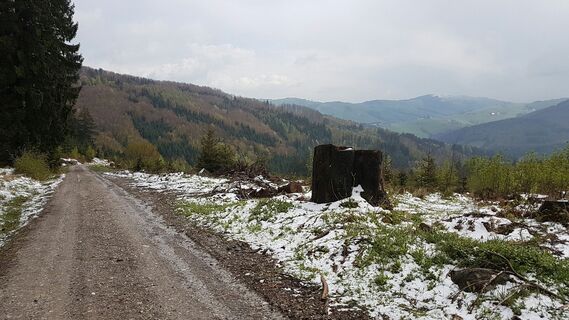 Blick über das Kleinramingtal
