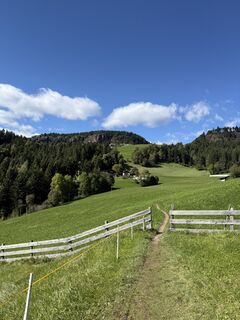Fotografia z Thorsten Janotta na trase