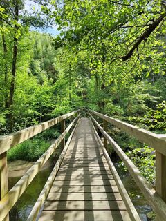 Fotografia z ReginaSt na trase