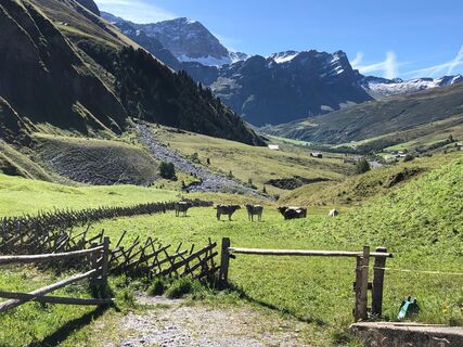 Blick vom Start in Safien Thalkirch in Richtung Wisshorn