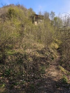Foto de Stefano Fabi a lo largo del recorrido