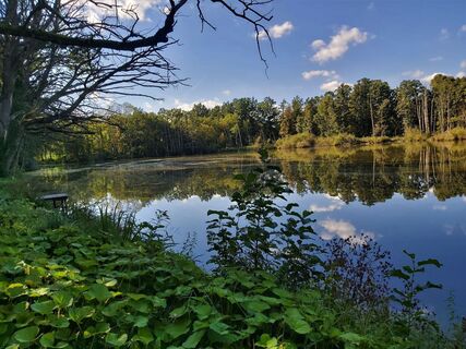 Teich bei Schielleiten im ApfelLand- Stubenbergsee, in der Oststeiermark