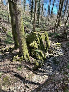 Photo de Barry Palacios le long du parcours