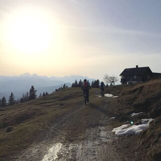Almwiese Zabreška planina